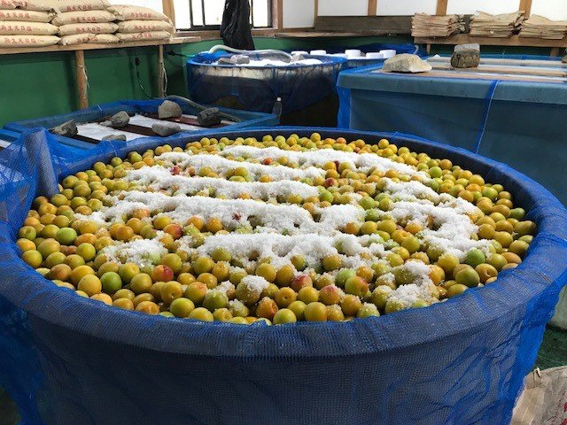 こだわりの梅農家 紀州南高梅 輪玉農園｜Creema SPRINGS