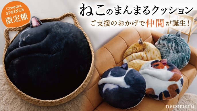 受注会】次猫リクエストNO.1に輝いた“黒猫”誕生！ねこのまんまる