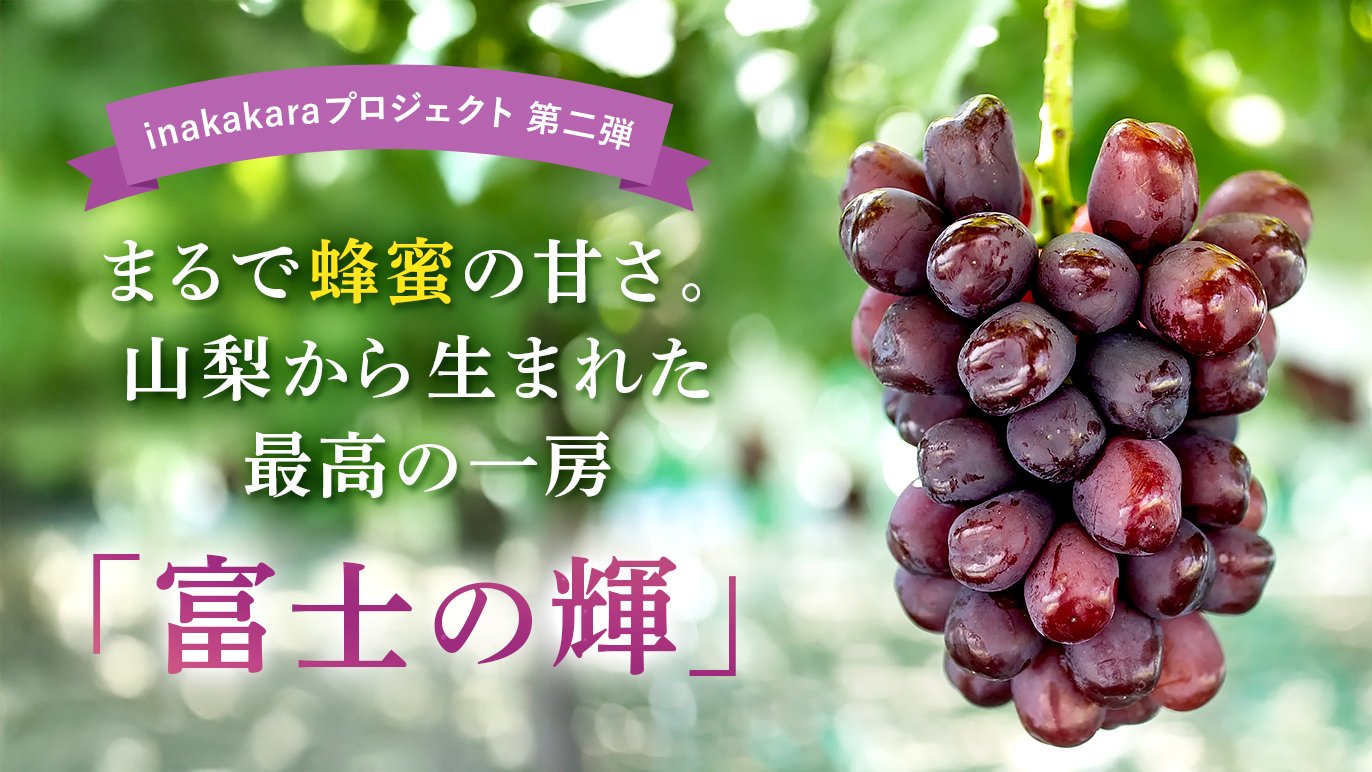 糖度30度も！！？まるでハチミツのような甘さのぶどう。一口で感動する 