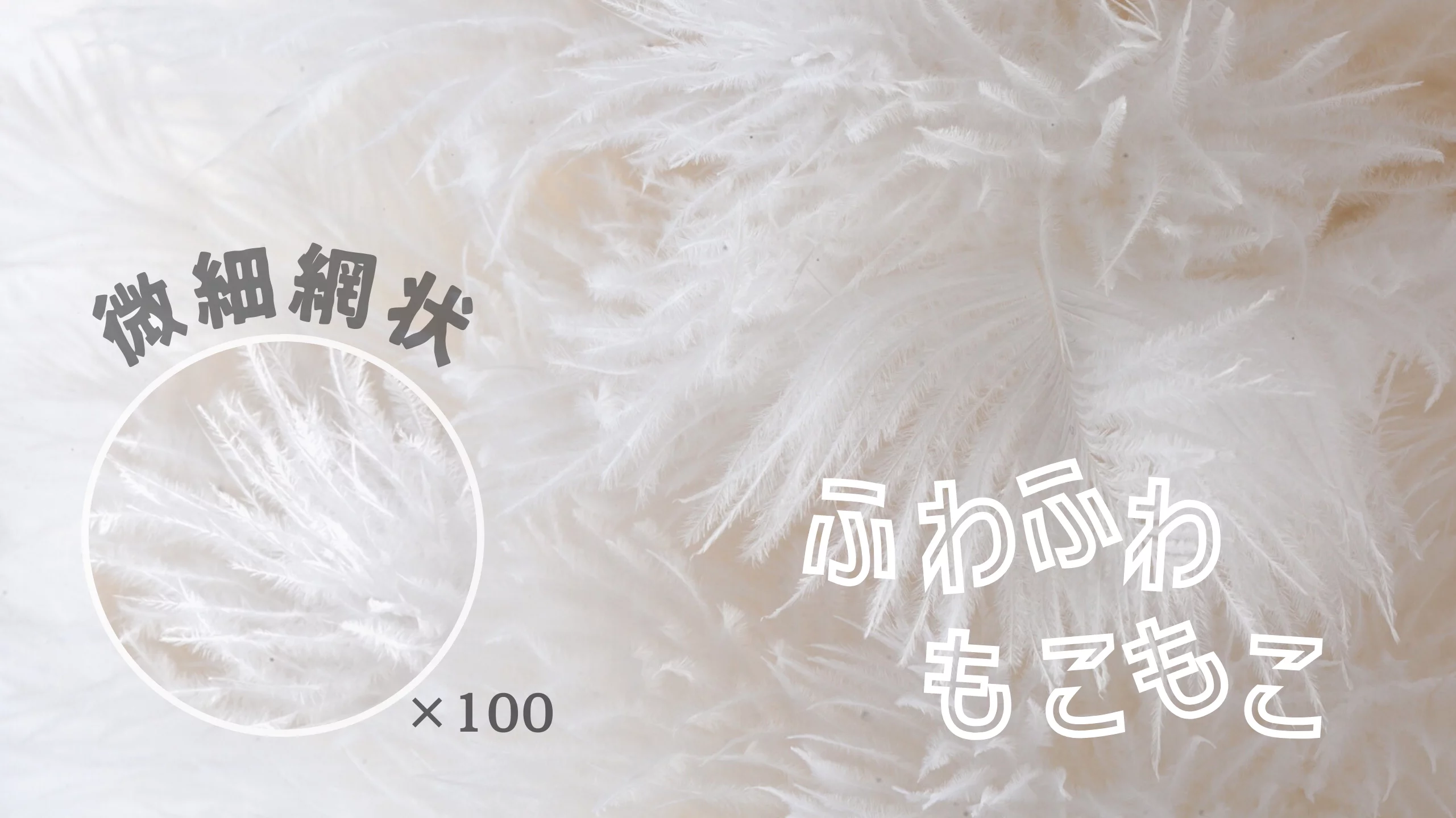飾るのが好きな人の必需品】お気に入りで大切な物のレイアウトを崩さず