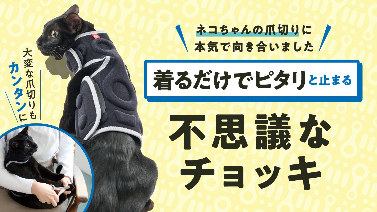 ネコの爪切りに本気で向き合いました。着るだけで「ピタリ」止まる