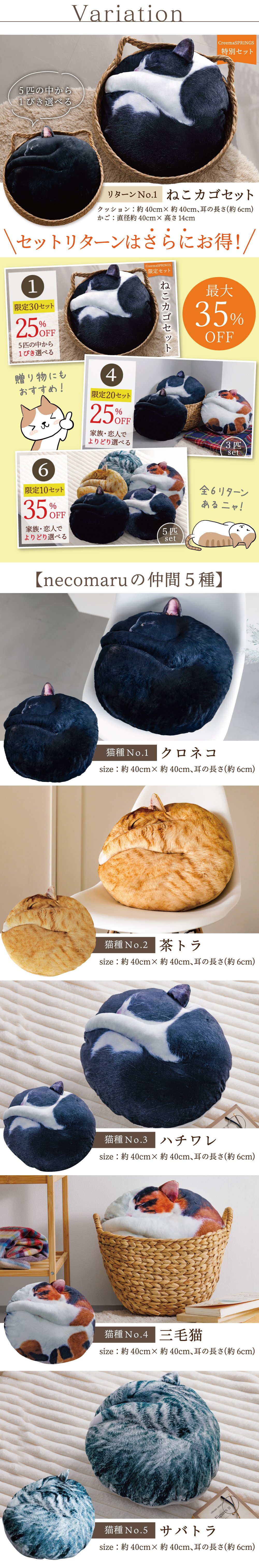 受注会】次猫リクエストNO.1に輝いた“黒猫”誕生！ねこのまんまる