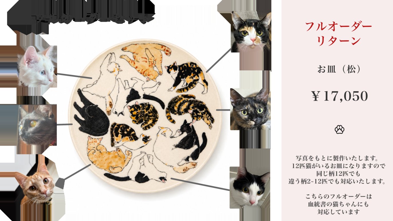 京焼・清水焼の職人技が光る 日常の癒しねこちゃん食器！