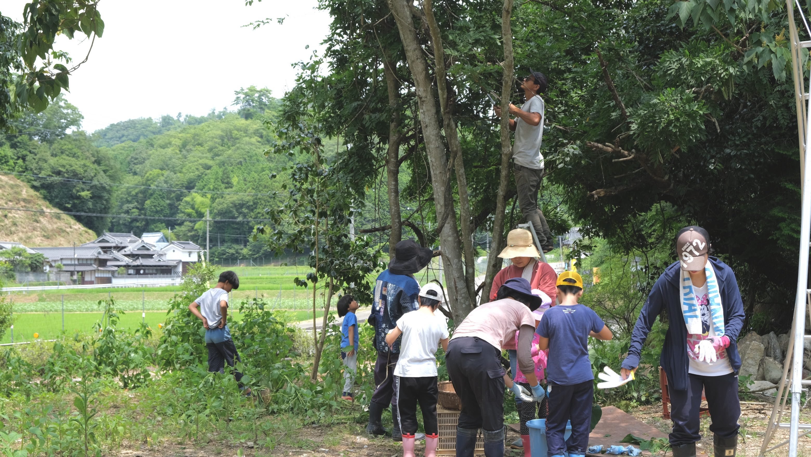 森を育て、共に暮らす】染色の森を衣食住が学べる場所にしたい！｜Creema SPRINGS