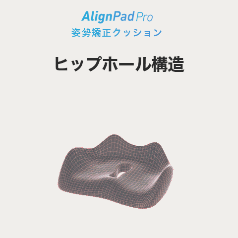 アラインパッド プロ AllignPad Pro 姿勢補正 クッション 骨盤矯正 アラインパッド プロ AllignPad Pro 姿勢補正 クッション 骨盤
