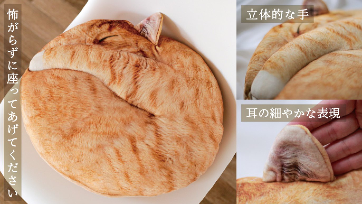 受注会】仲間が増えました！猫の寝姿から生まれた『necomaru〜ねこの 