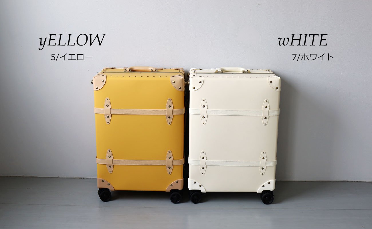 収納庫 122×56×60cm 3配色展開 トランク スチール YC8500048818　（同類8201119系統） 幅60] トランクカーゴ 収納ボックス ROOM ESSENCE | 公式LOWYA