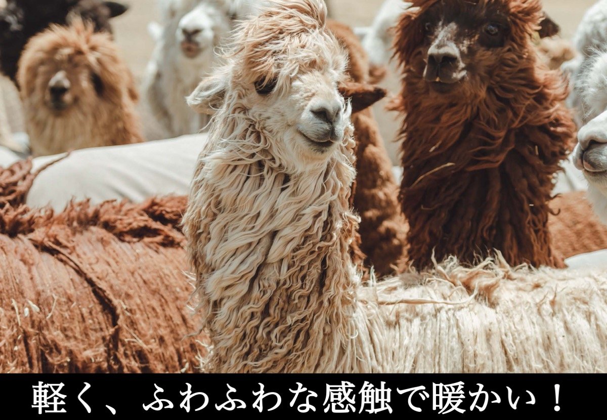 自宅＆アウトドア】お洒落で暖かく、保温性抜群！ハンドメイド『SDG