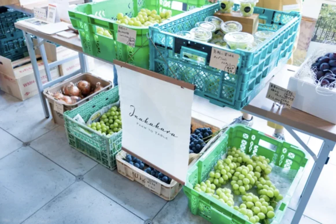 糖度30度も！！？まるでハチミツのような甘さのぶどう。一口で