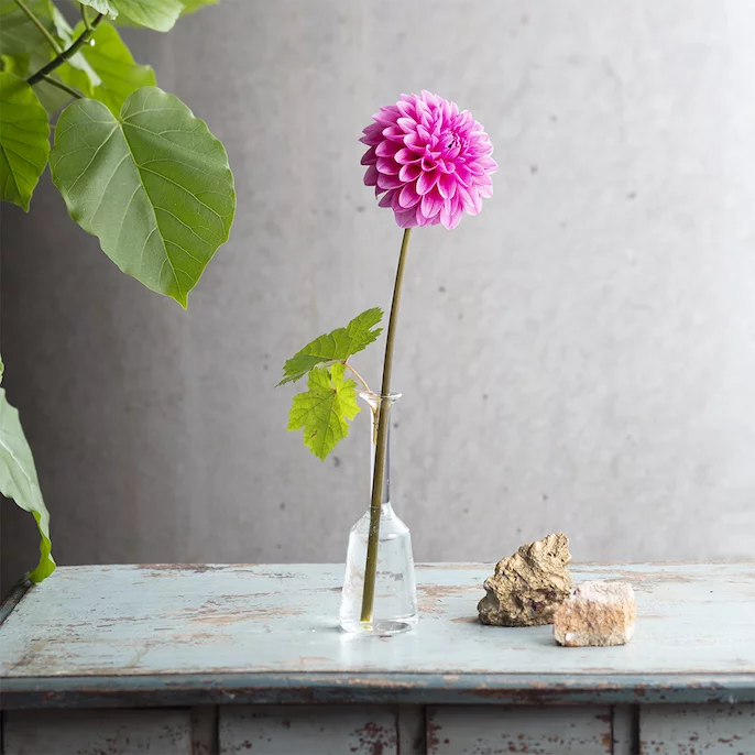 花瓶　生花 15_000000000066.jpg?1710384549