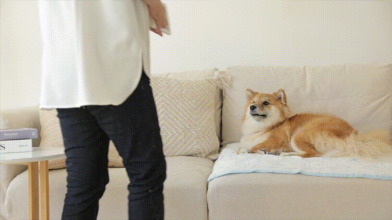 5重ガーゼでより冷たい、乗るだけひんやり。ワンちゃん冷感クール