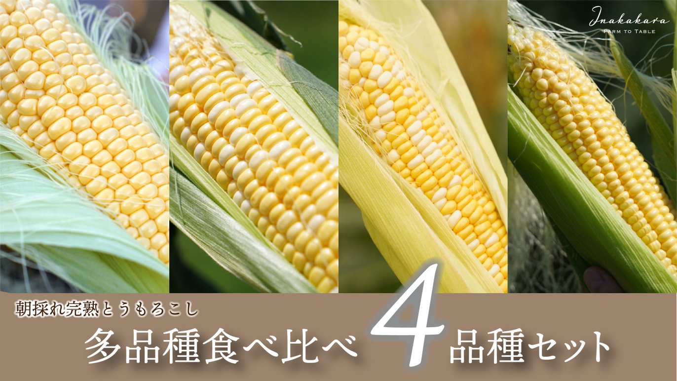 “山梨県の朝どれ完熟とうもろこし” 当日直送で最高鮮度の5種を食べ比べ｜Creema SPRINGS