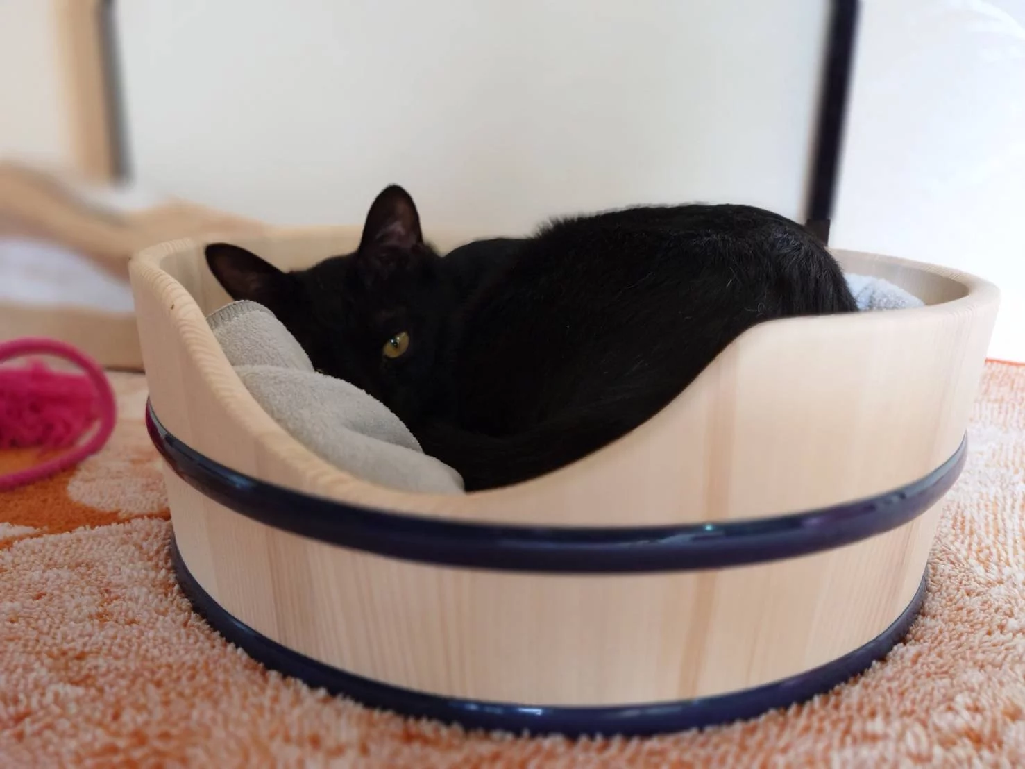 職人技を愛猫のために、癒しの丸みNERUKOベッド｜Creema SPRINGS