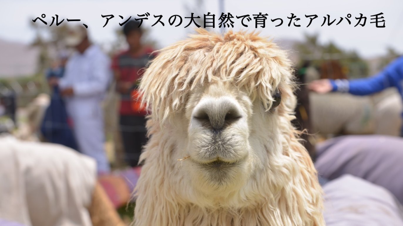 自宅＆アウトドア】お洒落で暖かく、保温性抜群！ハンドメイド『SDG 