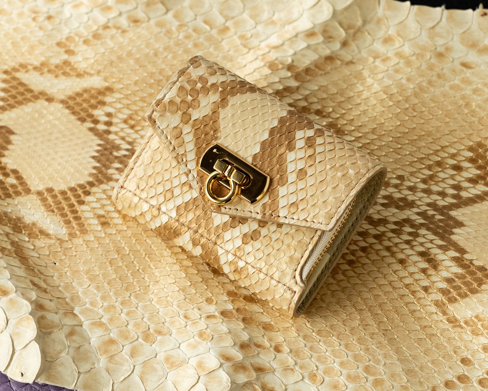 Picabia、FEMME AU SERPENT、海外版超希少レゾネ、新品額付 ミニ財布 モネ 蛇革 パイソン（フクシア）｜étonné エトネ公式