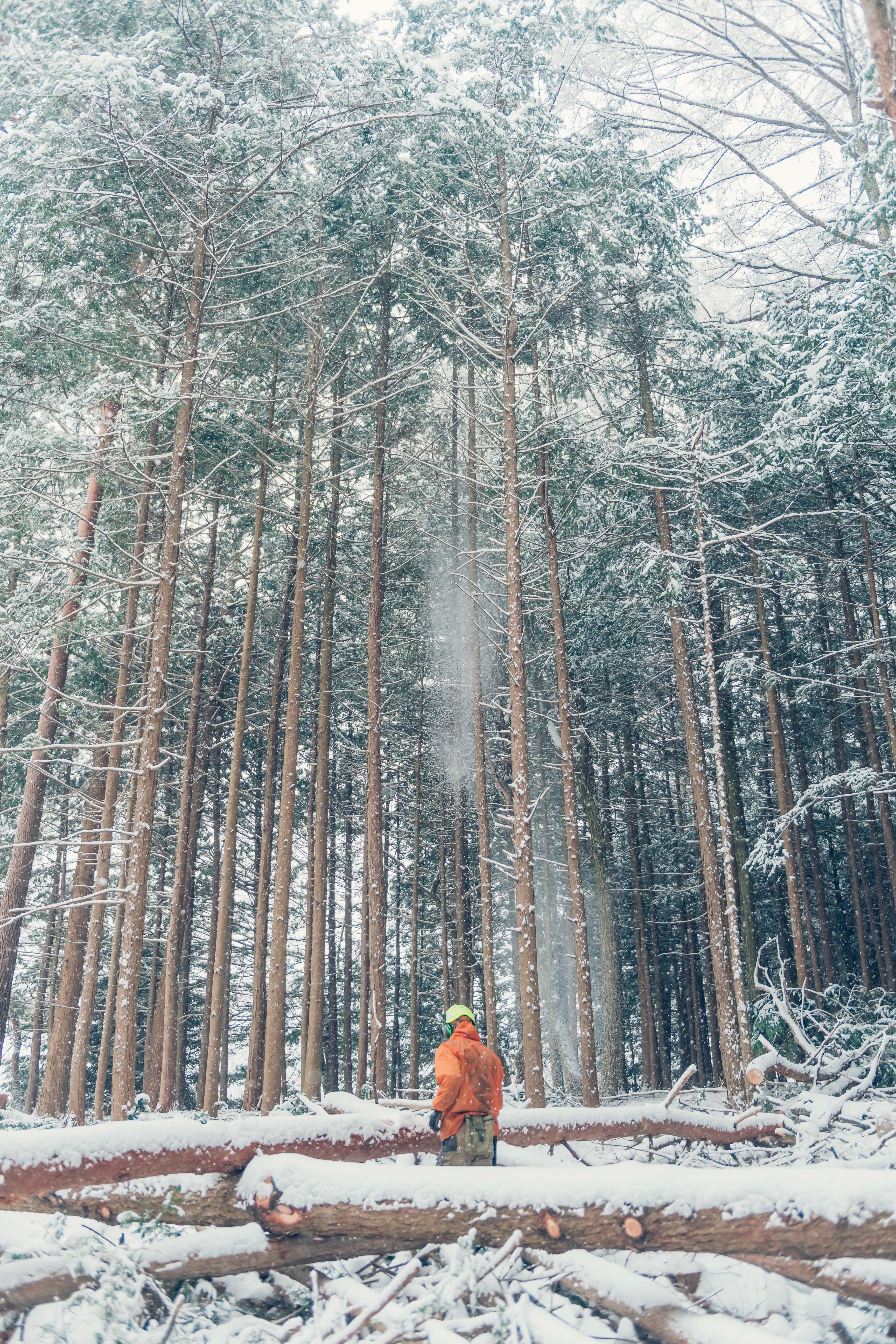 森の未来を拓くものづくり。信州のアカマツでつくった【木のノート