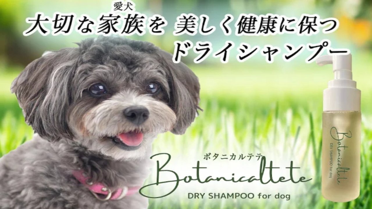 携帯にも便利！成分にこだわり抜いた犬用ドライシャンプー！｜Creema