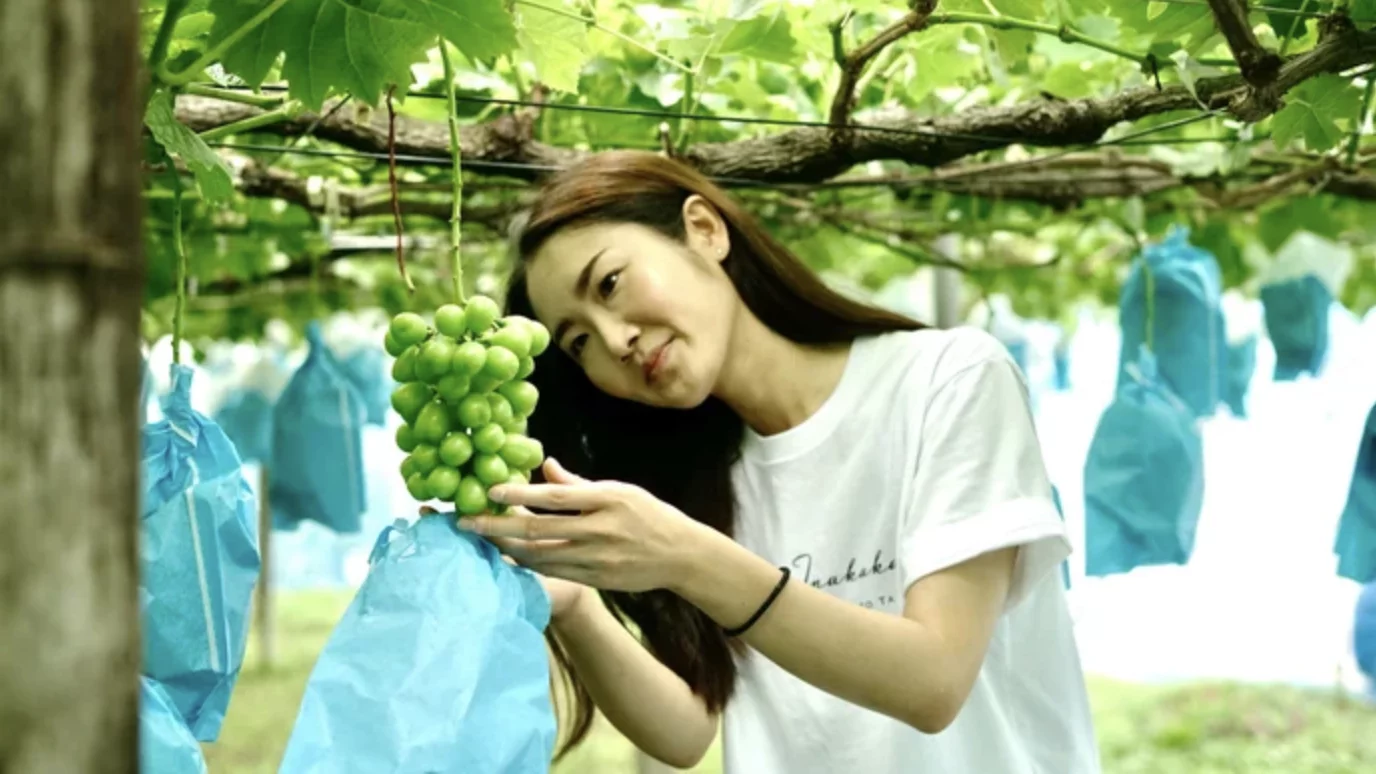 糖度30度も！！？まるでハチミツのような甘さのぶどう。一口で