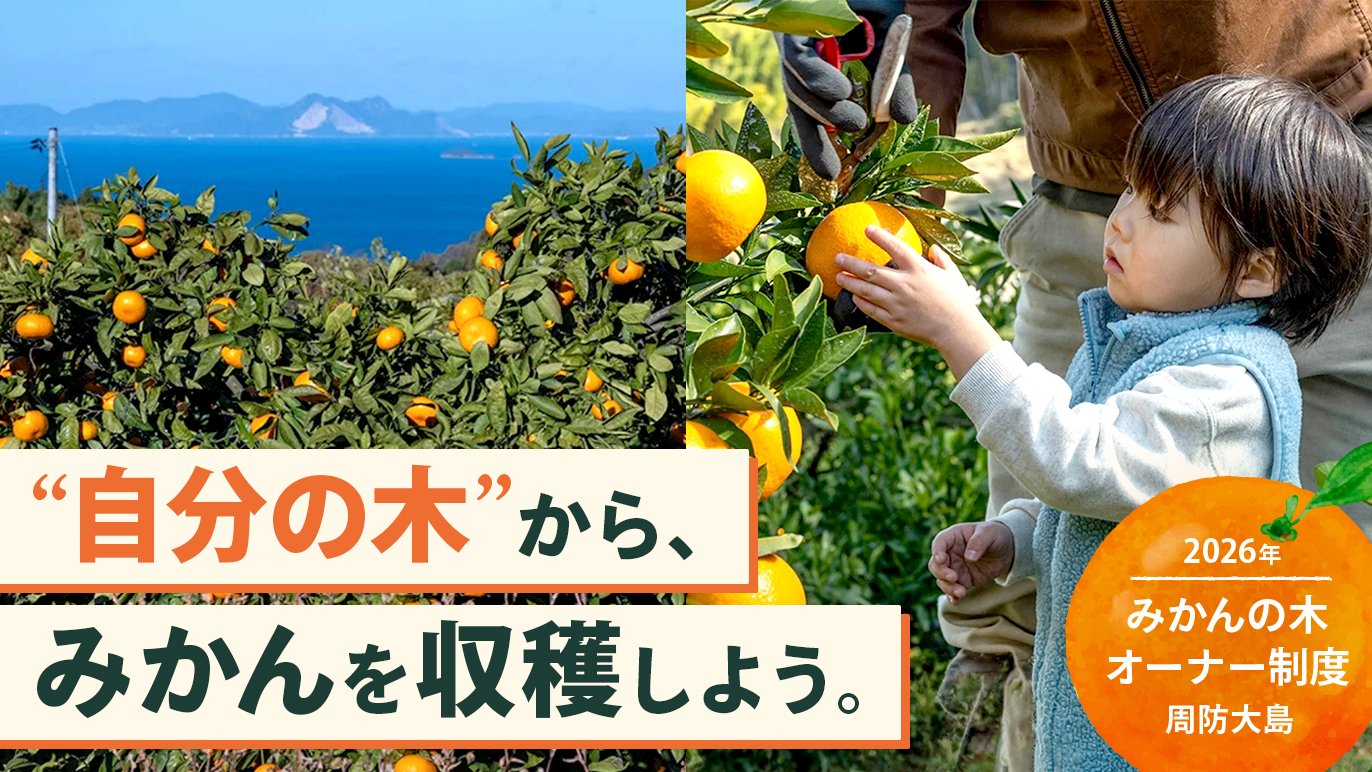 今年だけの特別な出会い。 あなたが選ぶ、2つの農園の「みかんの木