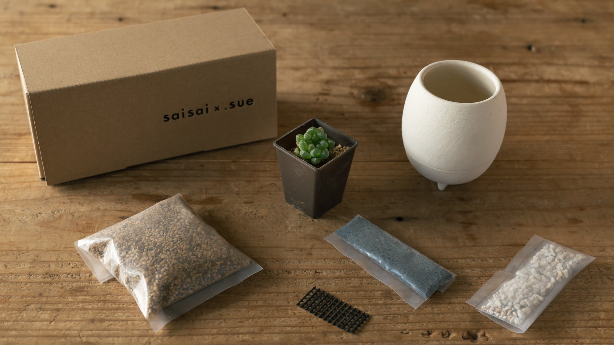 ポテっと、コロンと、手のひらサイズの植木鉢。植物ビギナーでも ポテっと、コロンと、手のひらサイズの植木鉢。植物ビギナーでも