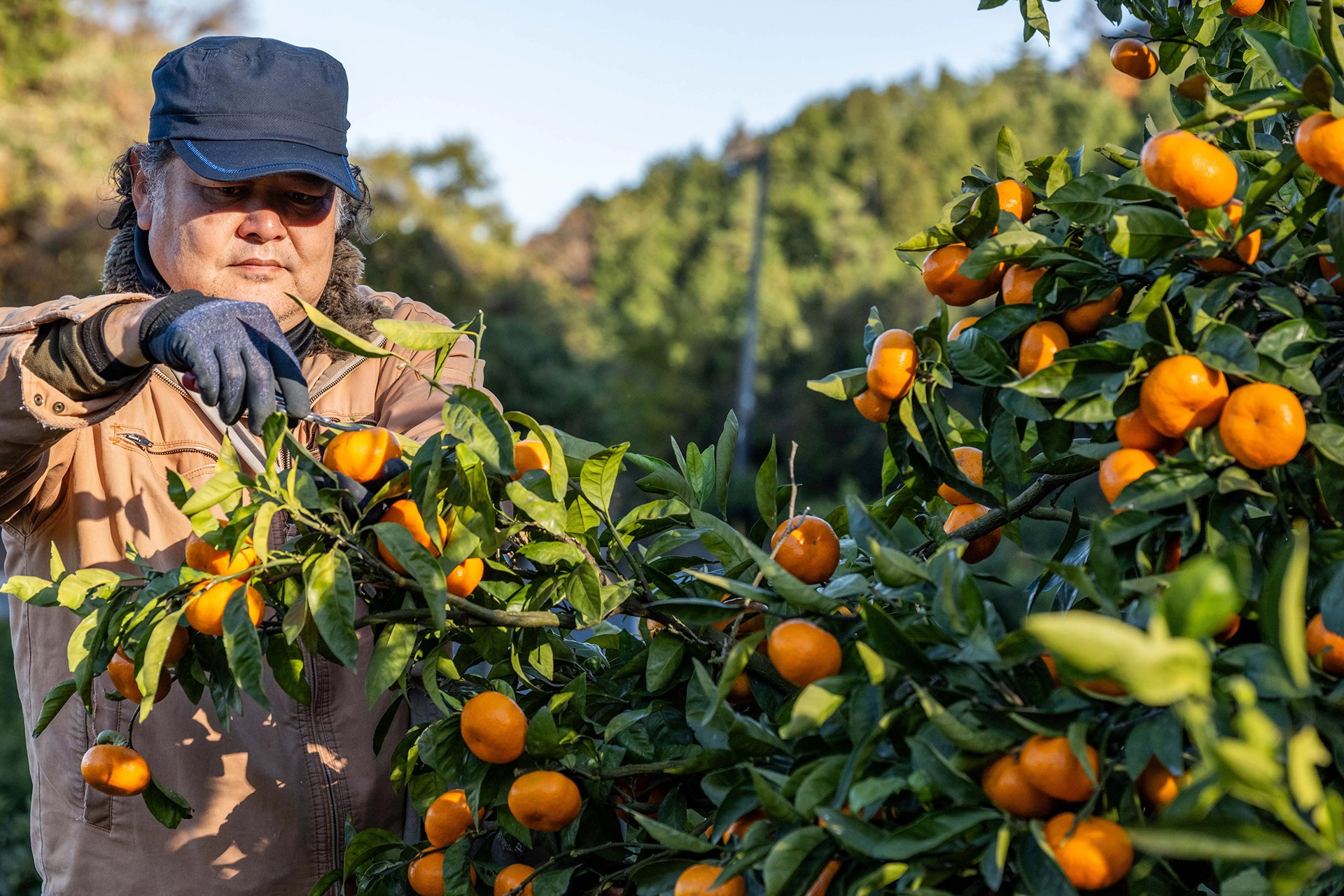美味しく味わい、産地を支える 〜