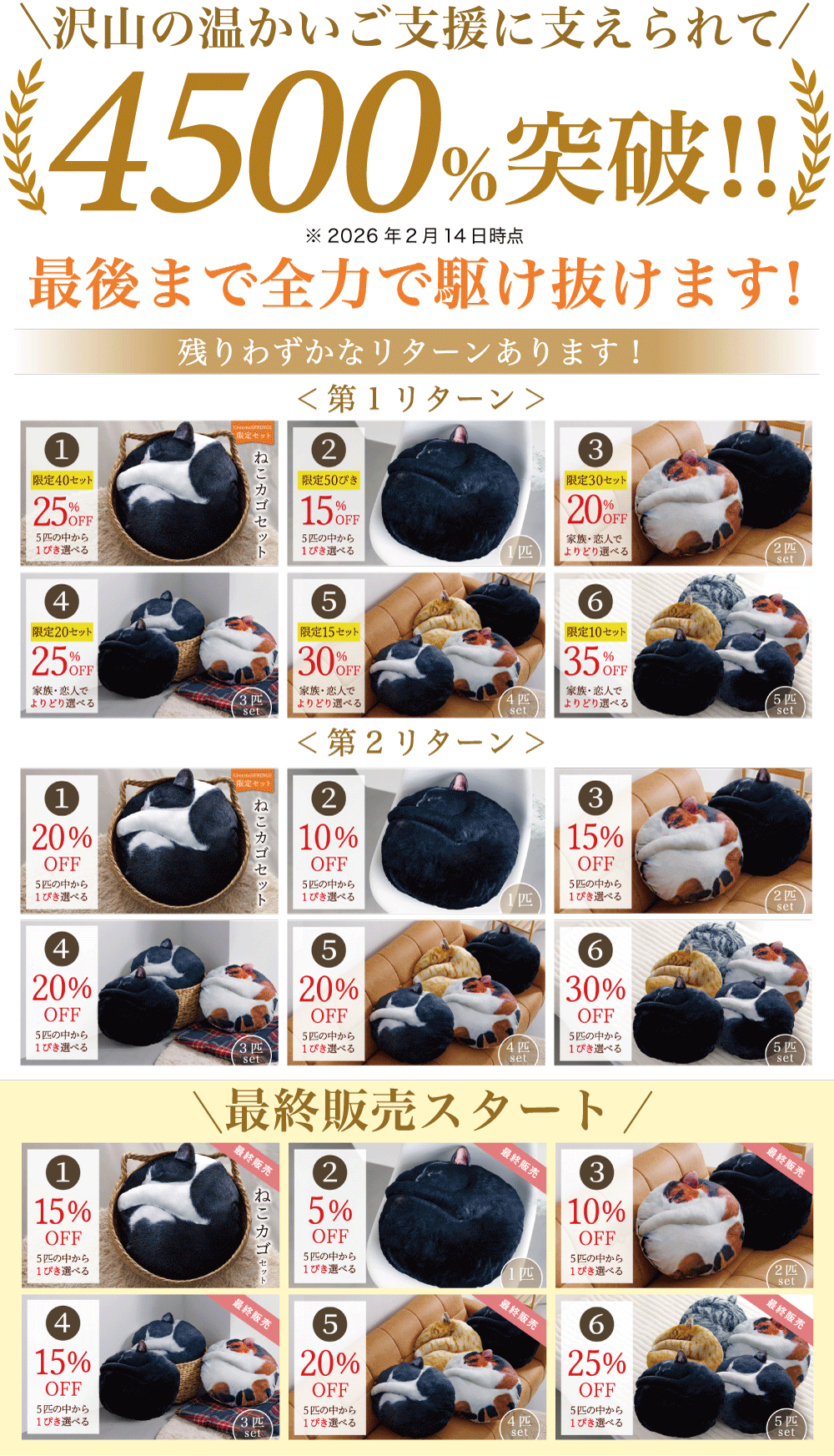 受注会】次猫リクエストNO.1に輝いた“黒猫”誕生！ねこのまんまる