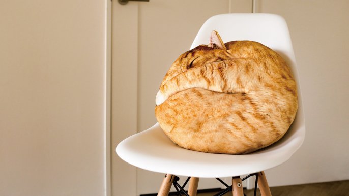 受注会】仲間が増えました！猫の寝姿から生まれた『necomaru〜ね