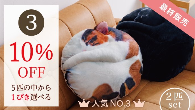 受注会】次猫リクエストNO.1に輝いた“黒猫”誕生！ねこのまんまる