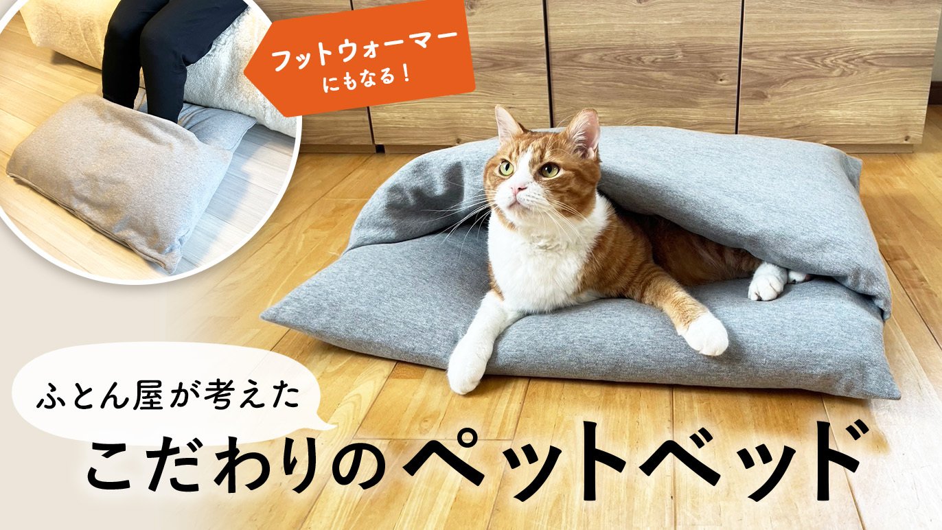 ふとん屋さんが広げる輪】本物の羽毛を使ったなめらかクッションで、人 