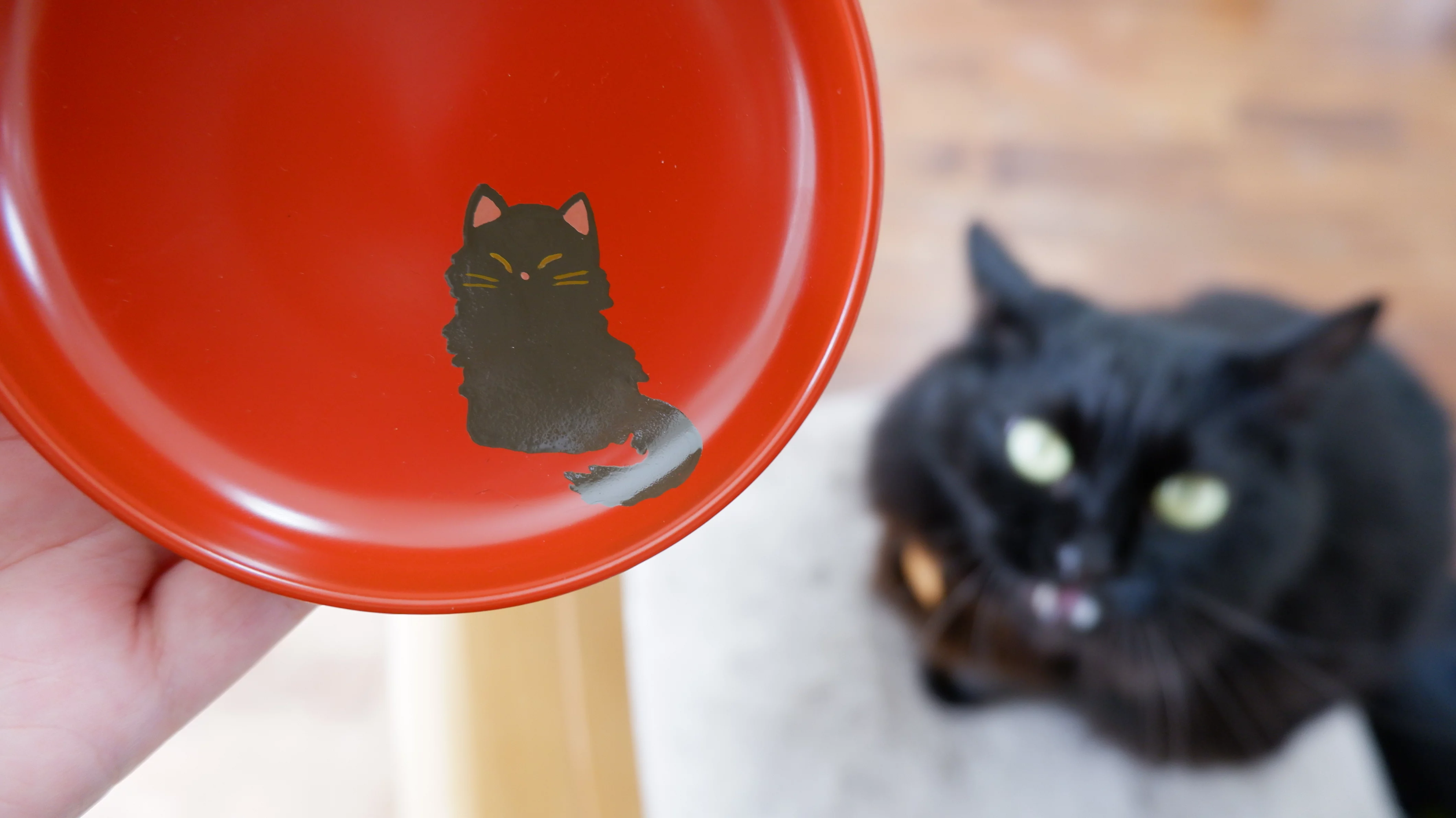 老舗漆器メーカーがにゃんこ様のために本気で作った漆ブランドの