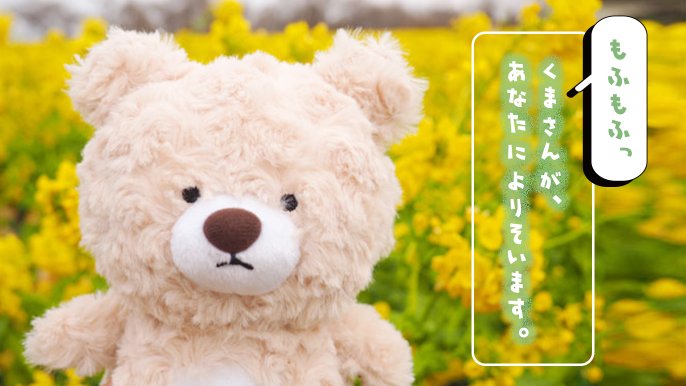 いつもそばにいてくれる もふもふくまさんのぬいぐるみ｜Creema SPRINGS