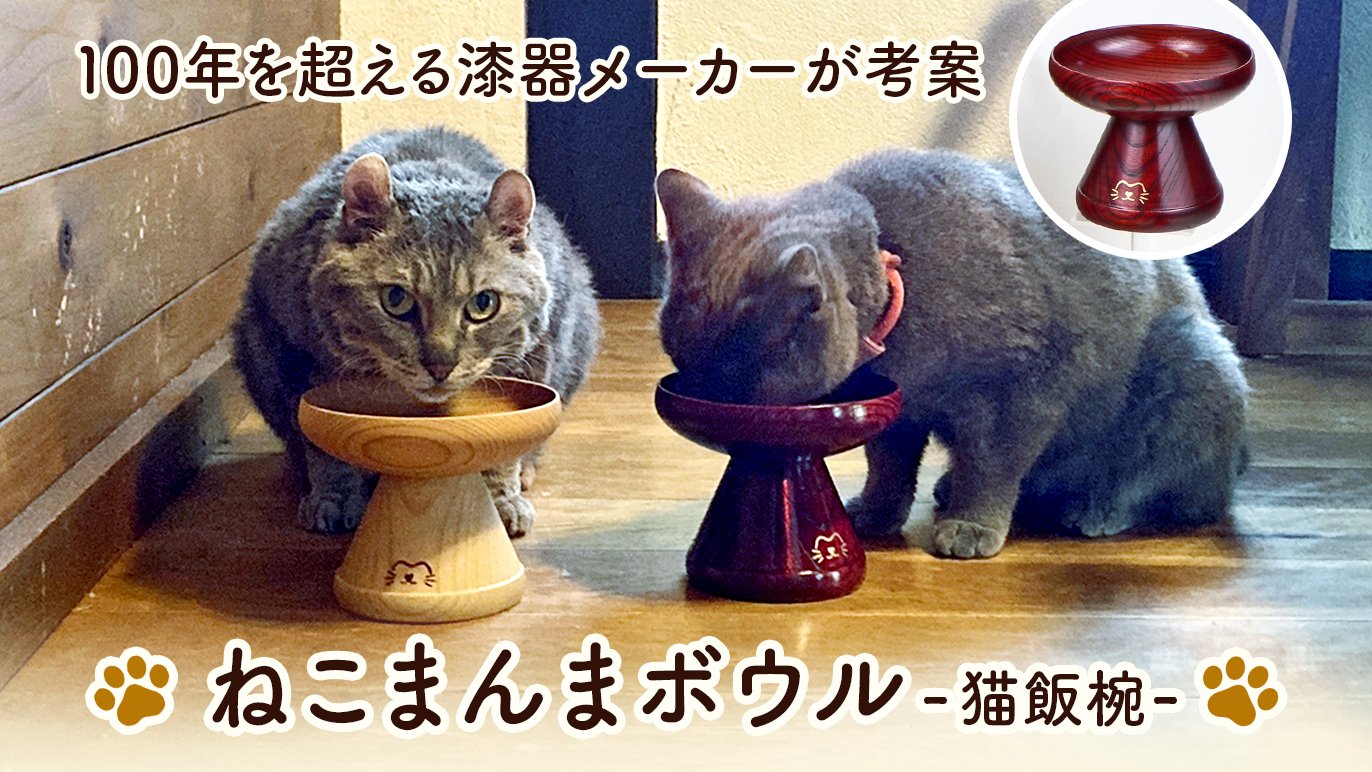 老舗漆器メーカーがにゃんこ様のために本気で作った漆ブランドの 