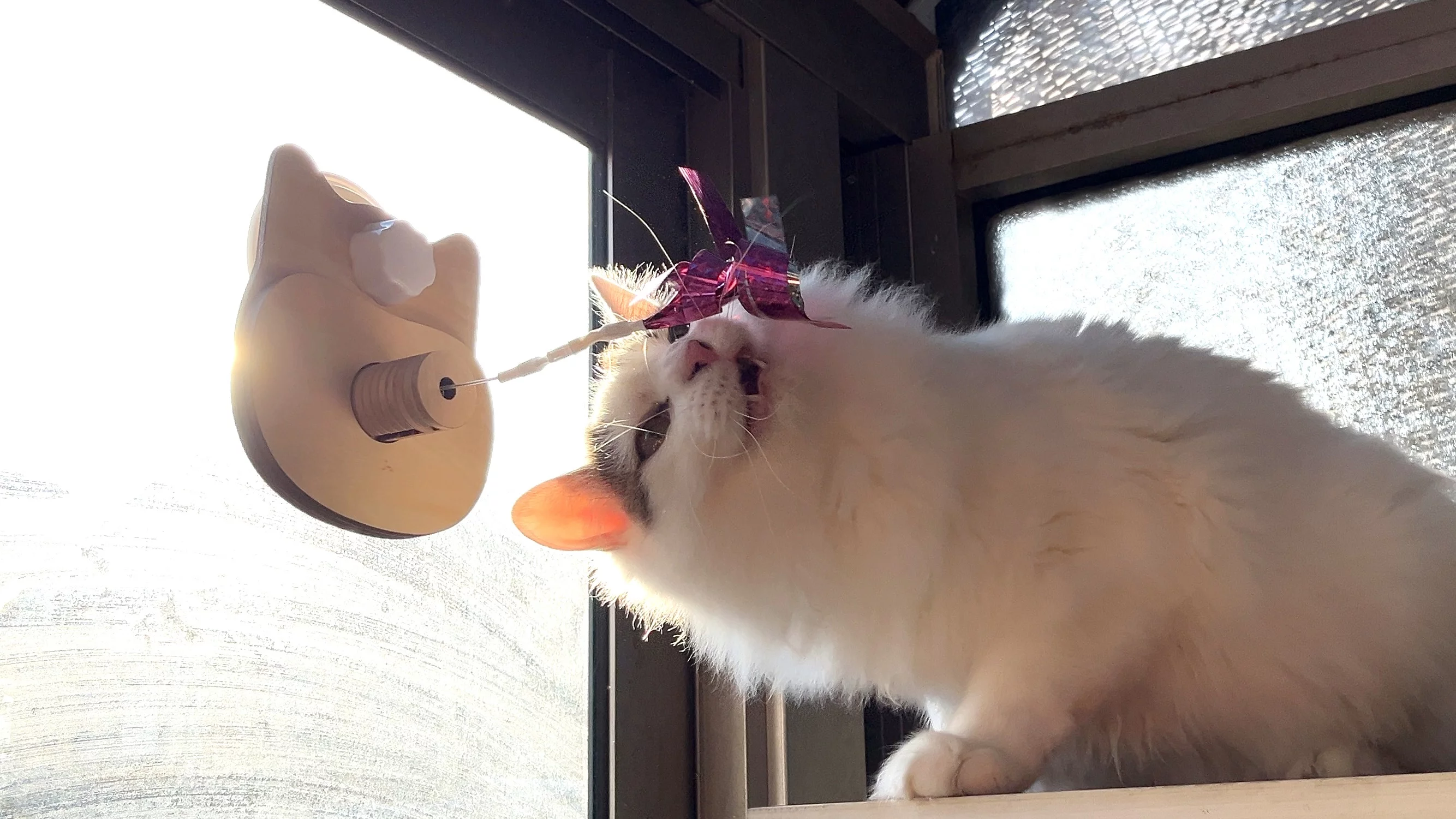 おもろマンモスらぶらどーる・猫餌 ねこまんまパウチ しらす入り | ねこまんまパウチ | ねこまんま