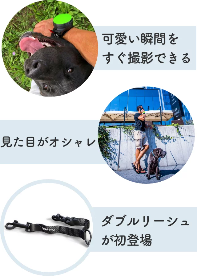 両手が使えるリード【Lishinuリシニュー】犬好きのお散歩がもっと自由