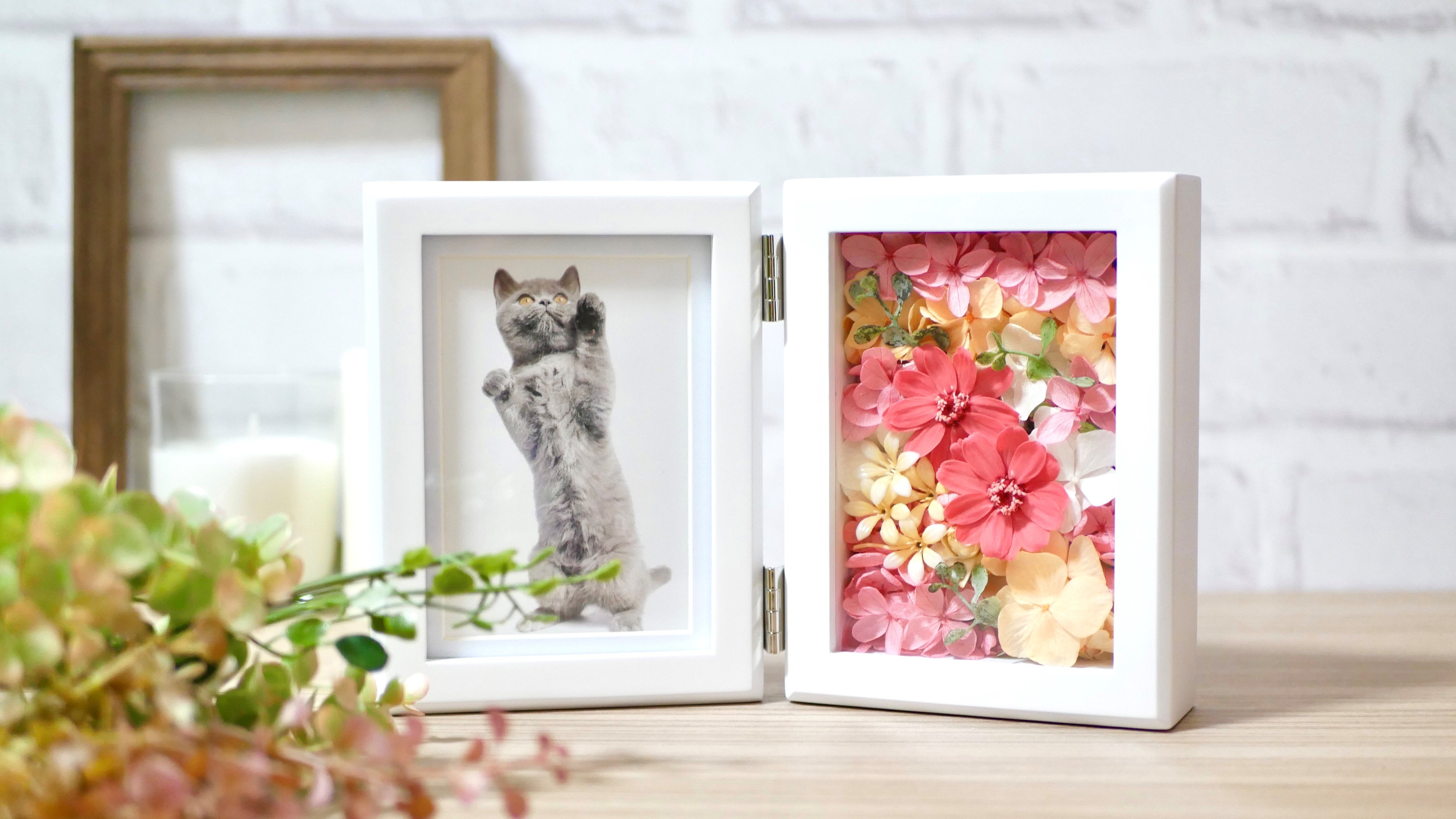 花のある生活をもっと身近なものへ｜Creema SPRINGS