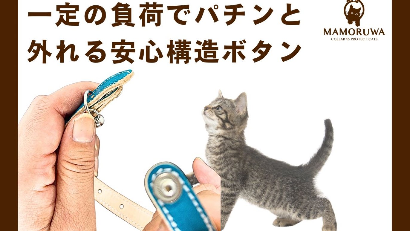 大切な猫の不慮の事故を防ぐ首輪MAMORUWA｜Creema SPRINGS 
