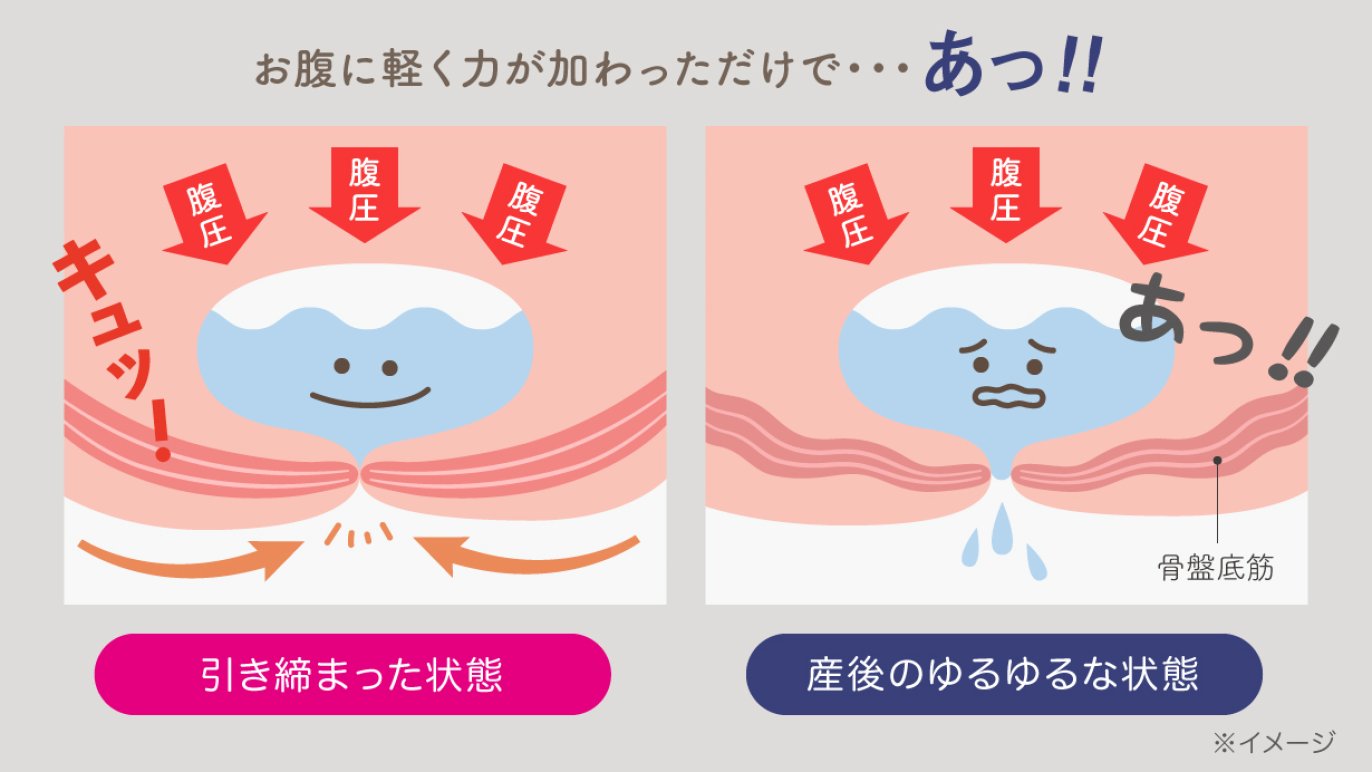 hermot Pelmond】振動する三日月クッションで骨盤底筋エクササイズ 