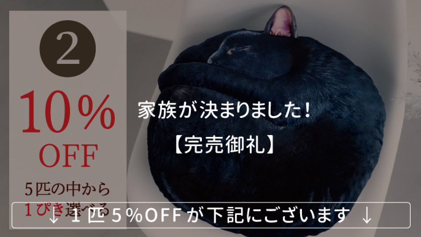 受注会】次猫リクエストNO.1に輝いた“黒猫”誕生！ねこのまんまる 