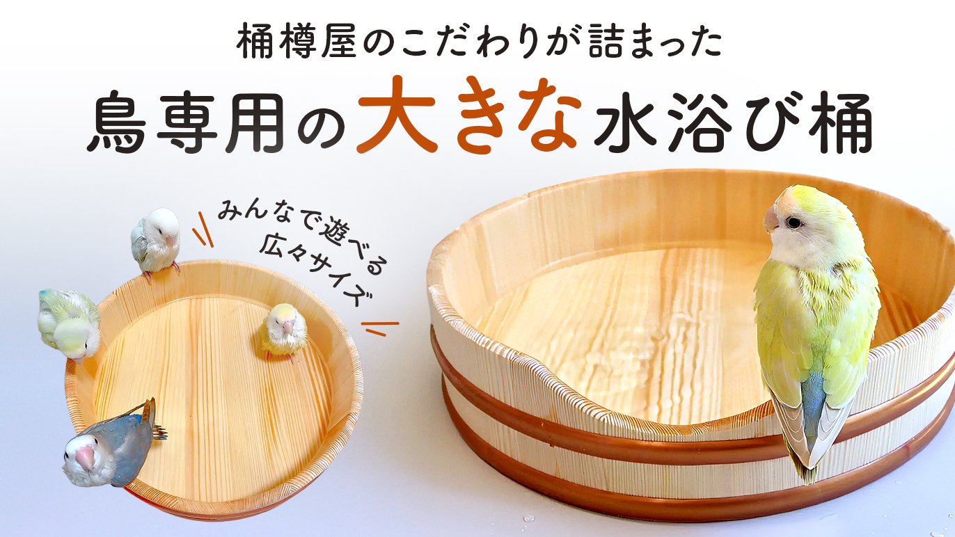 うちの子専用、ちいさなお風呂が大きくなりました！職人技を愛鳥の為に