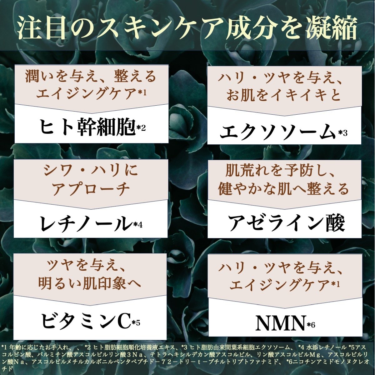 フレーバー化粧品 黄綬褒章受章・熊野筆の匠とコラボ】摩擦レスに泡洗顔で顔全体20万の