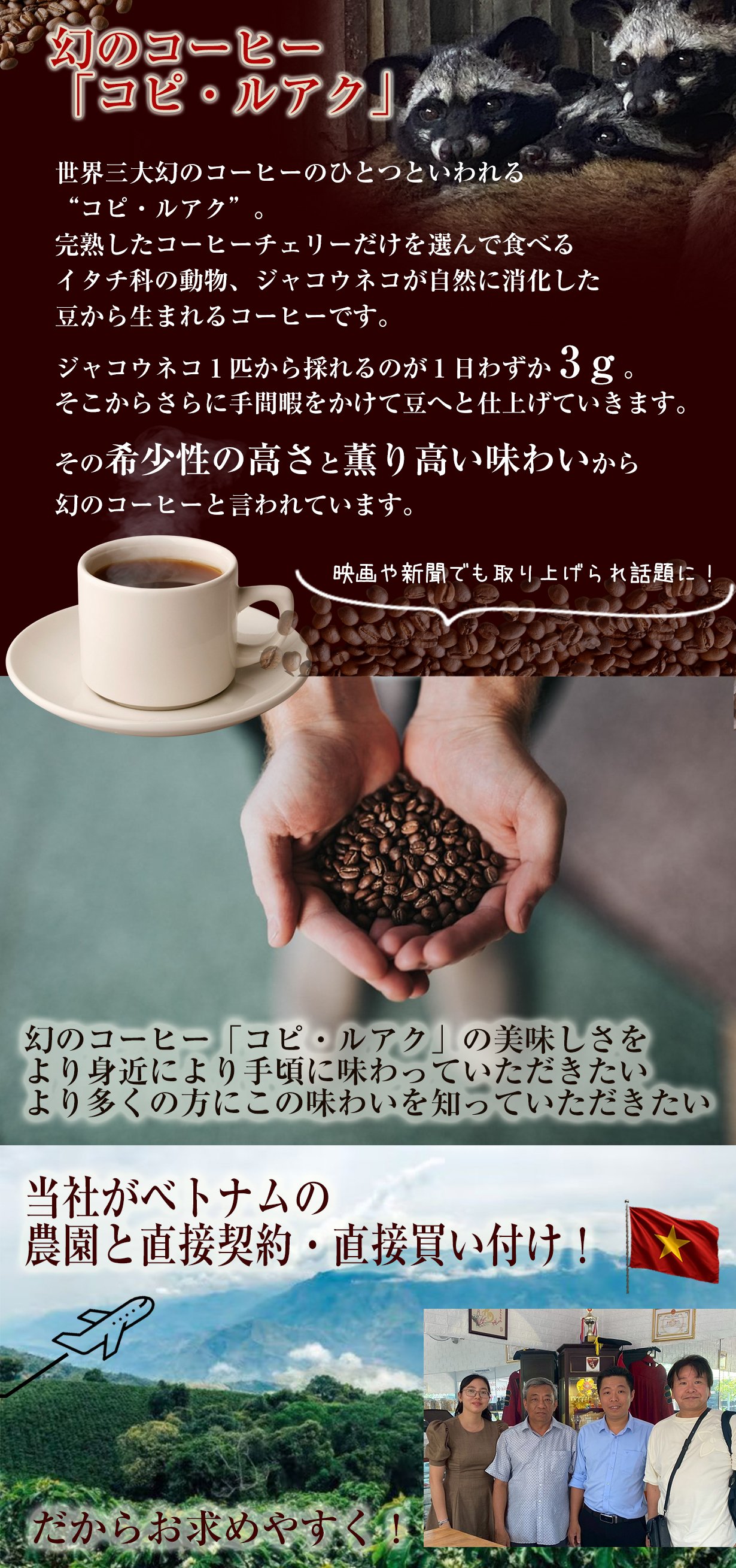 ジャコウ猫コーヒー2パック NGUYEN QUY チョンバンメ カフェボット 幻の「コピ・ルアク」ジャコウネココーヒー第2弾！ベトナム直接買付け