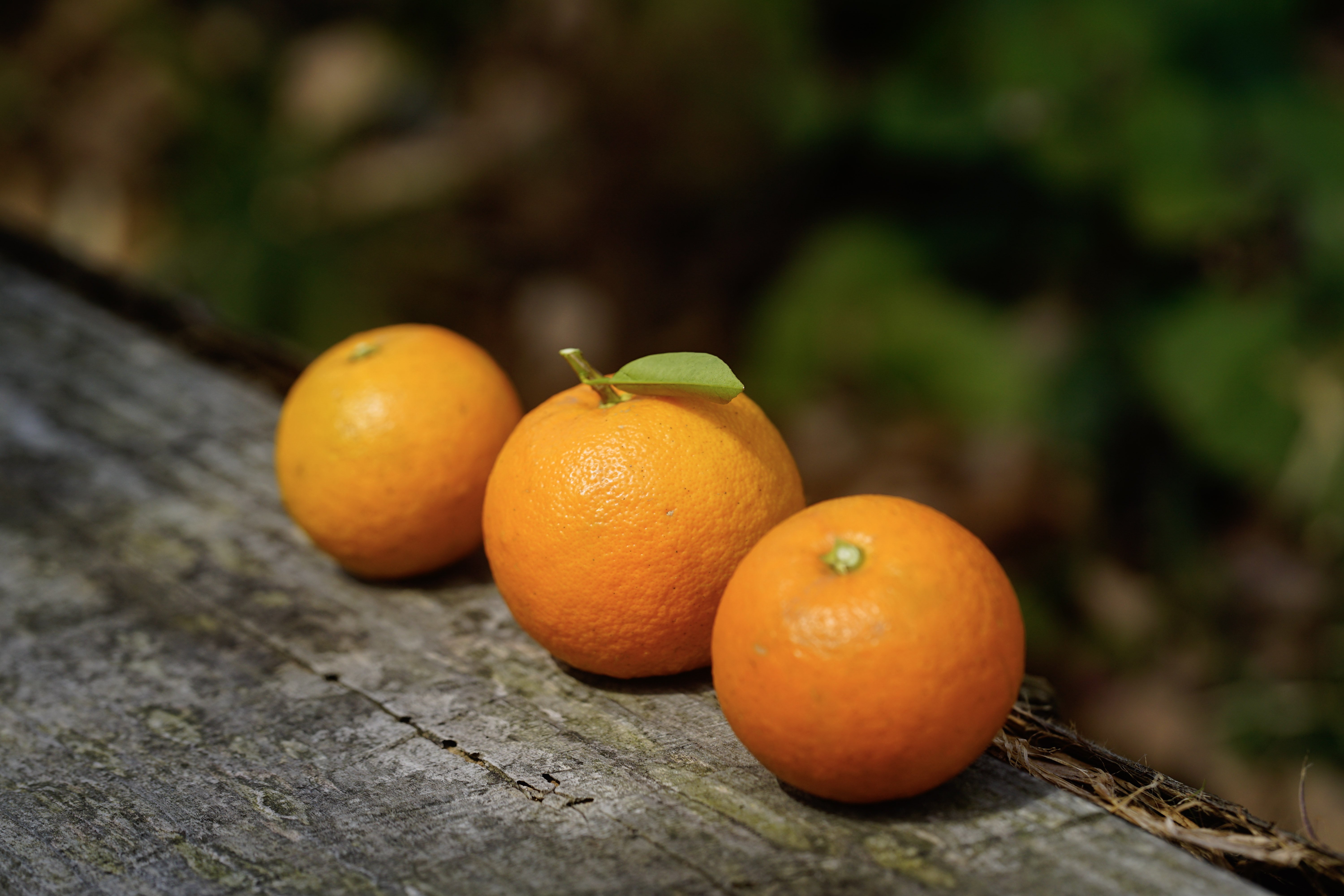 柚ポンヌ様 確認ページ CGC_味付けぽん酢（国産ゆず果汁使用） - 話題の商品 - エ