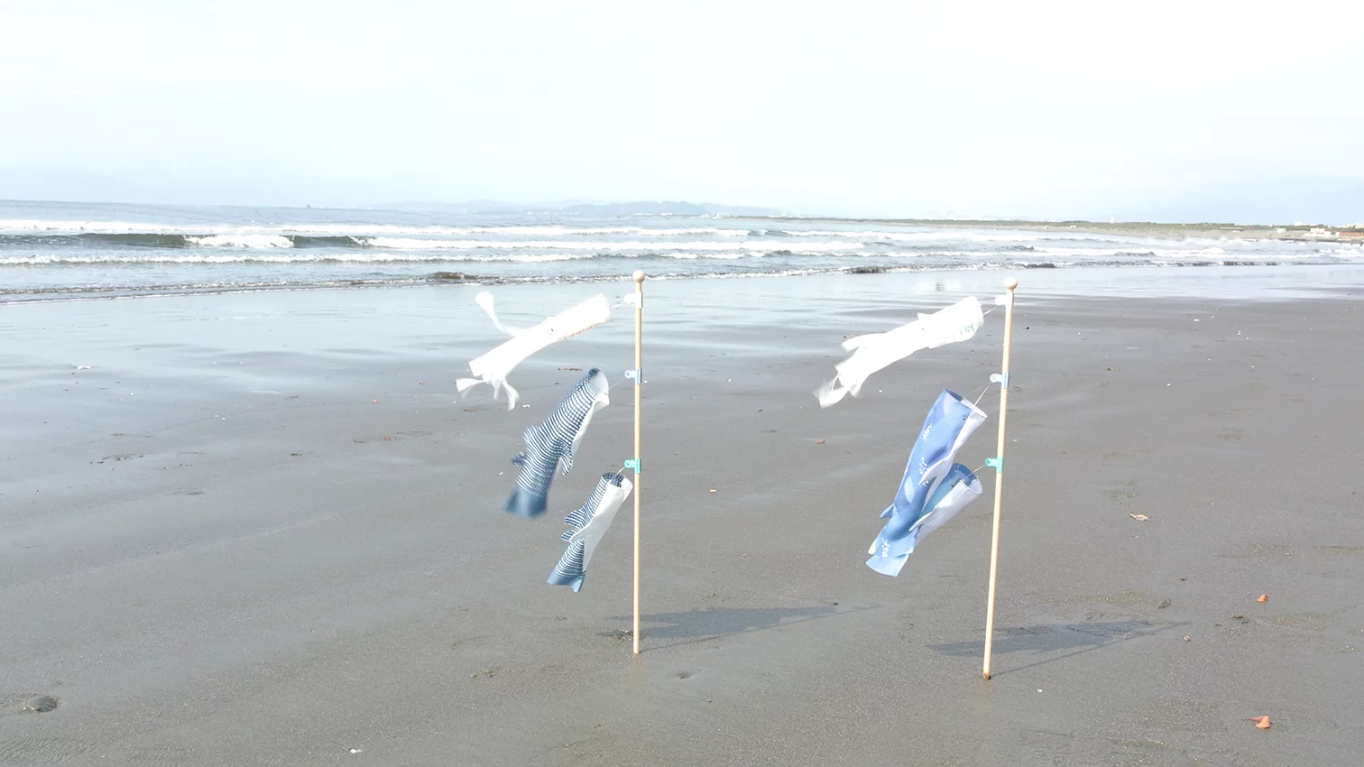 海の仲間と楽しむ子どもの日】クジラのぼり/ジンベエのぼり/海の