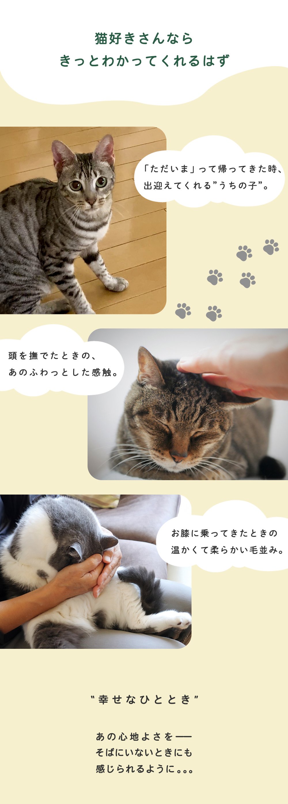 思わずなでちゃう。