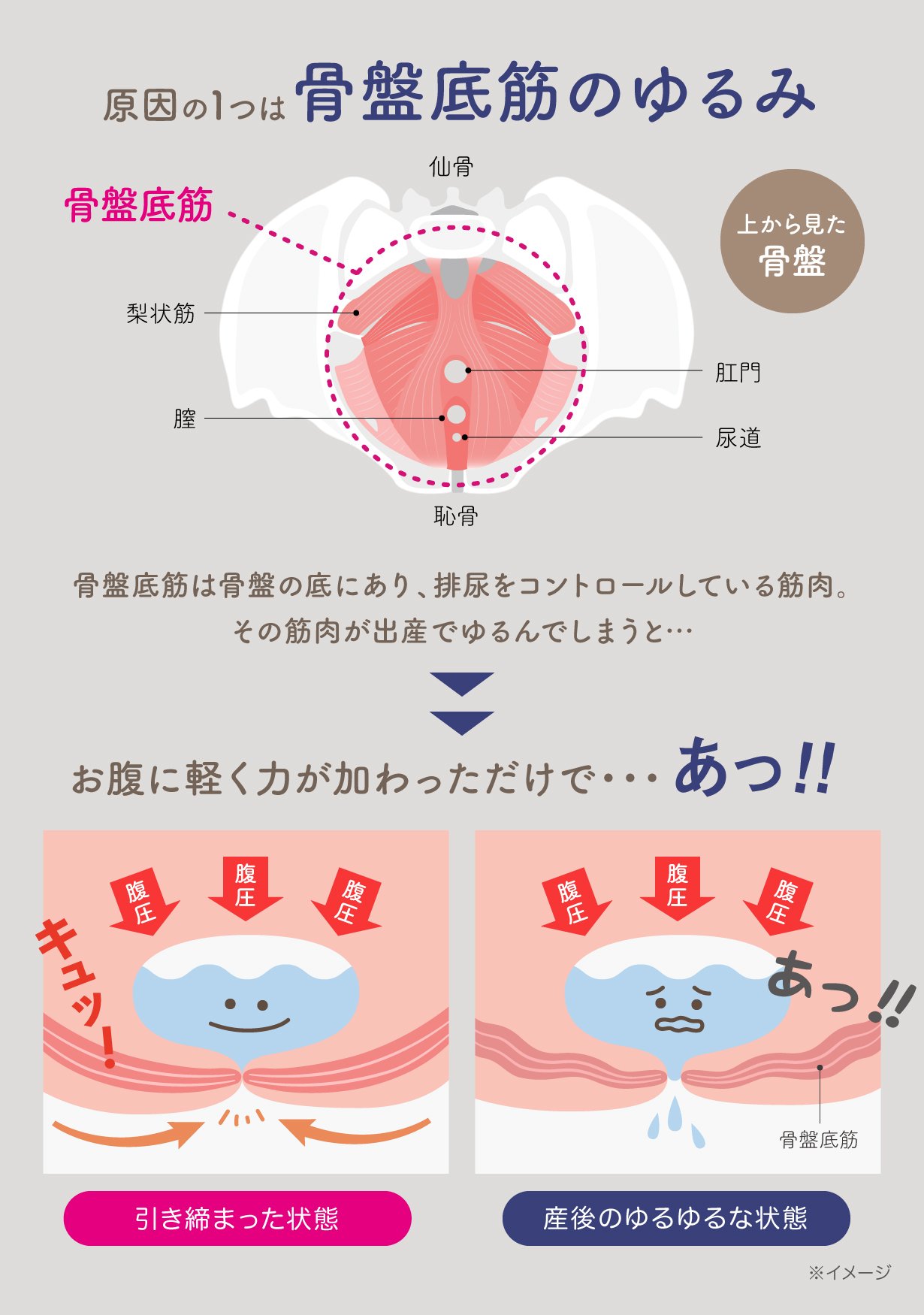 hermot Pelmond振動する三日月クッションで骨盤底筋エクササイズ！ hermot Pelmond】振動する三日月クッションで骨盤底筋