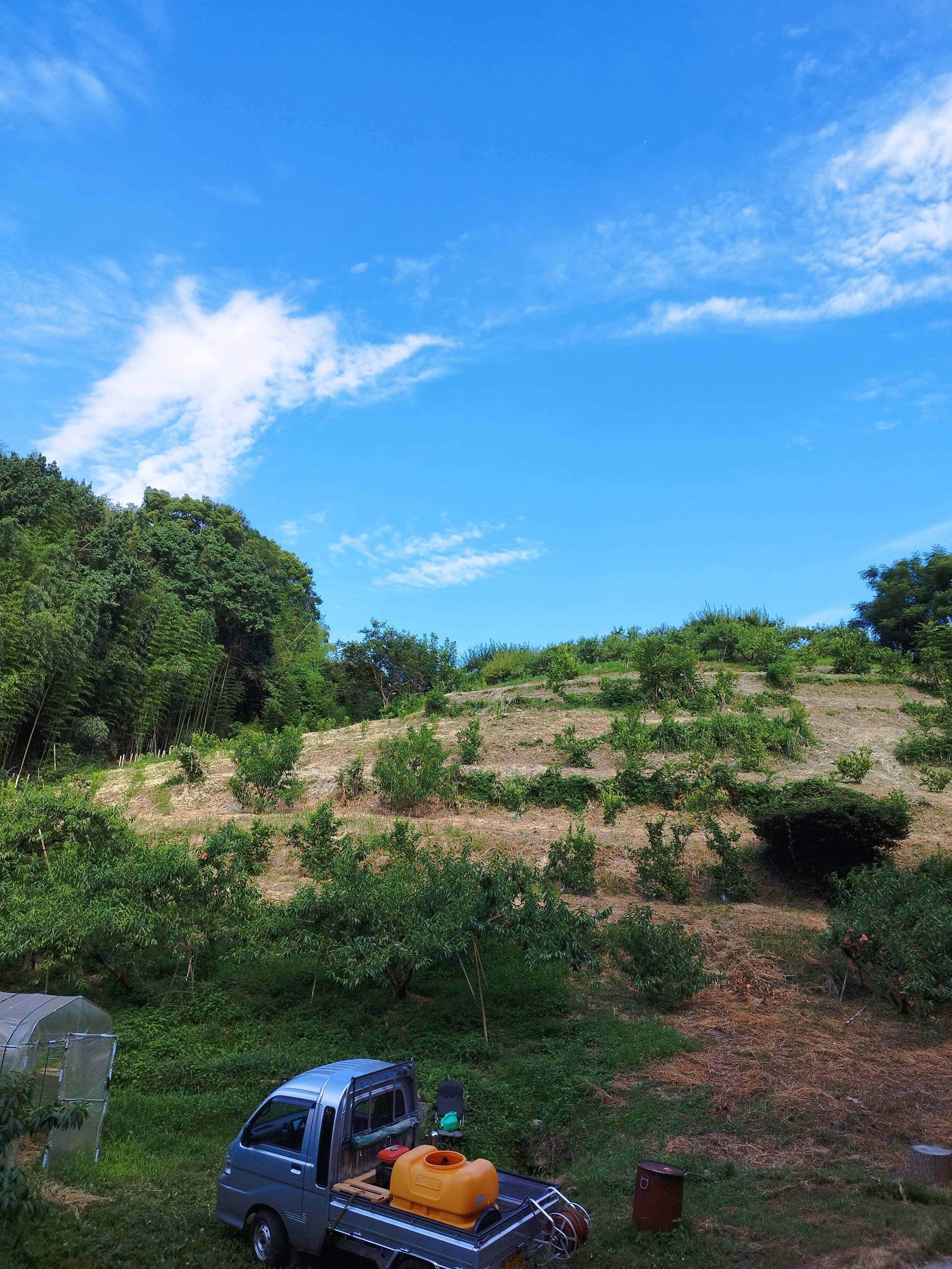 岡山で3代続く桃農家の挑戦。 ”幻”の冬桃（ふゆもも）と桃の甘酒を特別