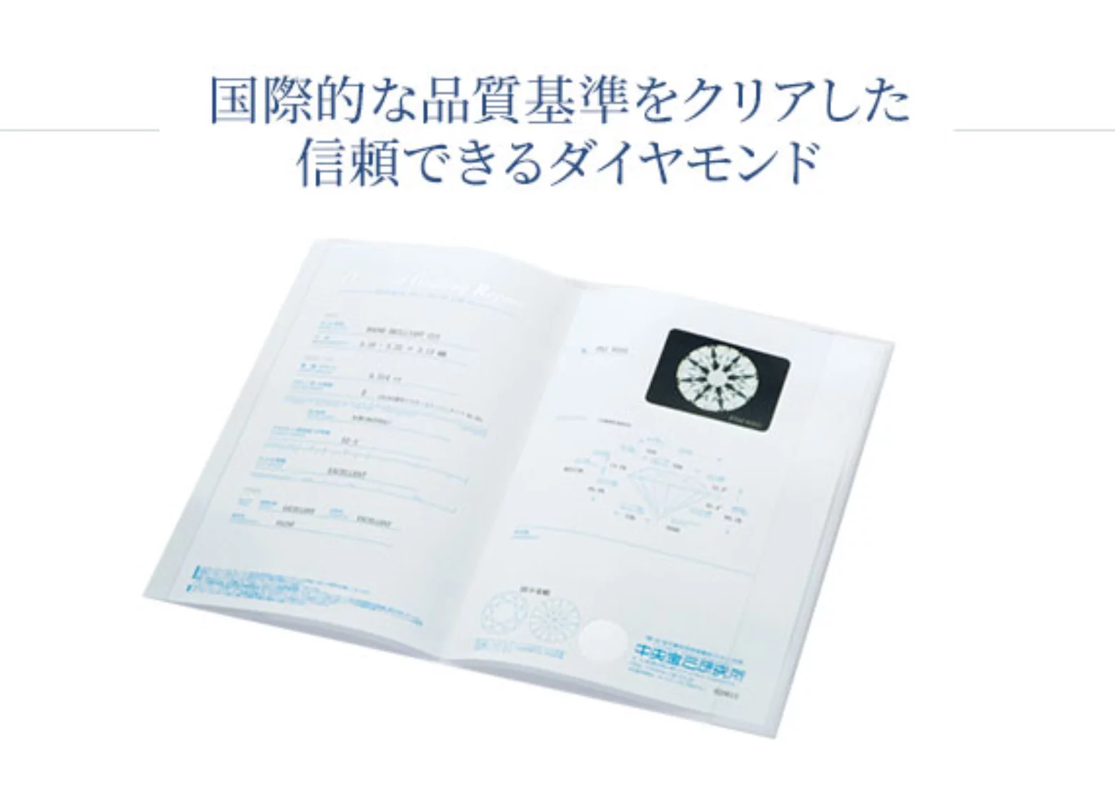 世界的ハイジュエリーブランド』でも大人気、希少な【天然イエロー 