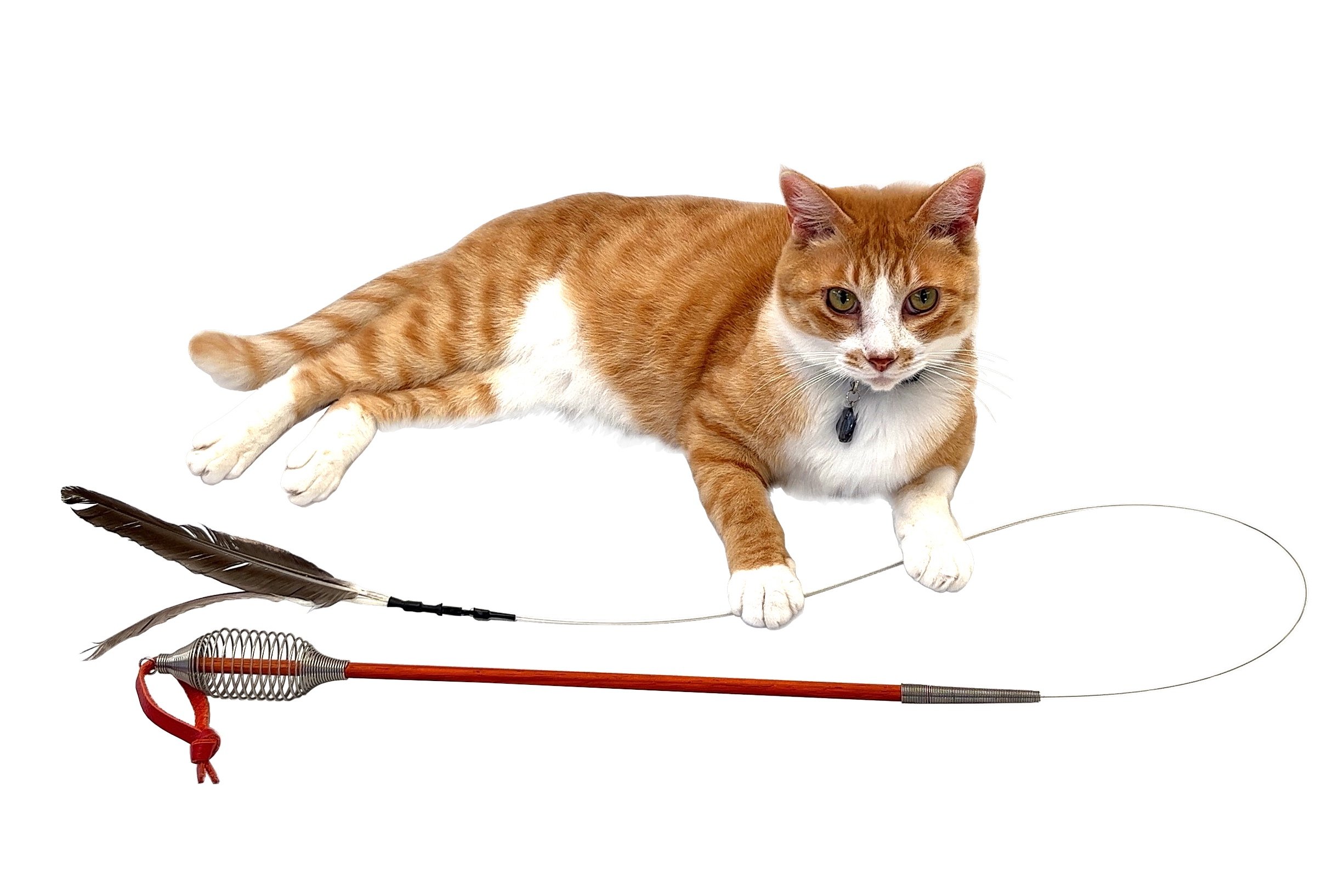 本能を解放する猫じゃらし！楽しく運動不足 ＆ 退屈解消【ばねじゃらし