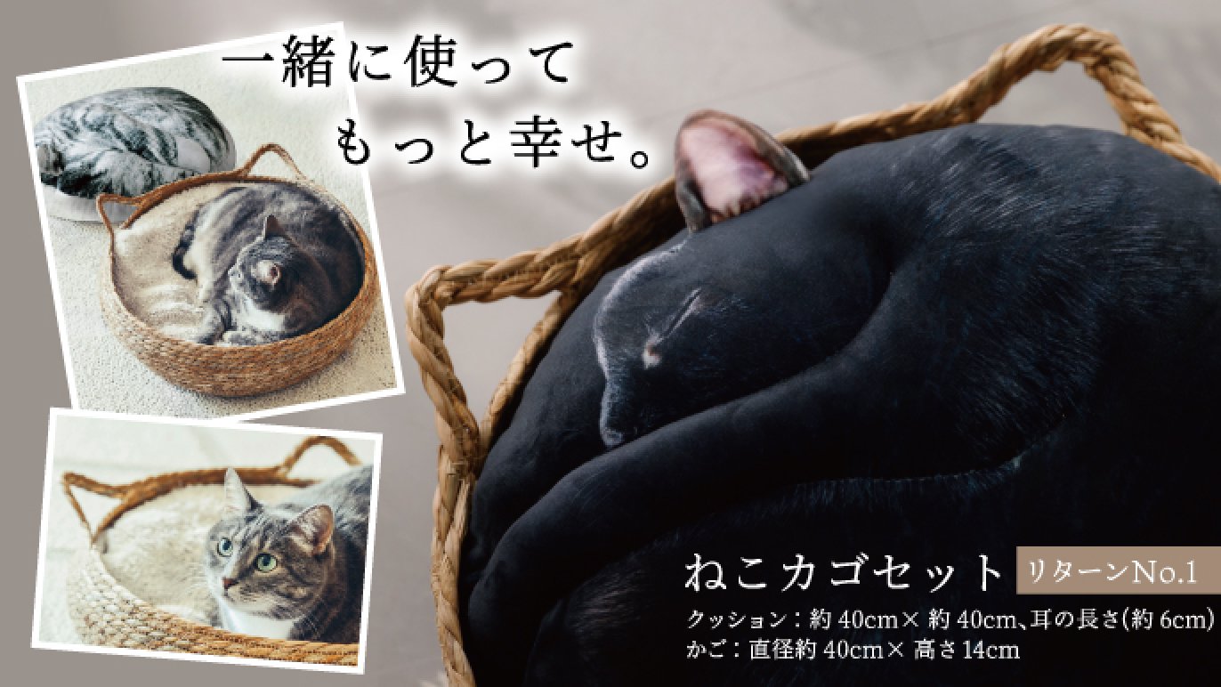 受注会】次猫リクエストNO.1に輝いた“黒猫”誕生！ねこのまんまる 