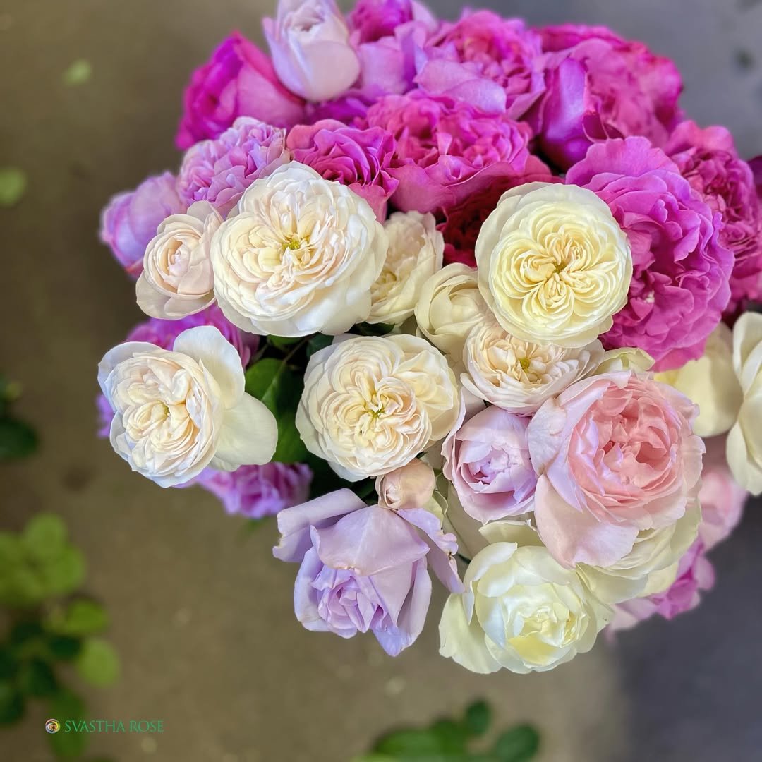 6月末〆切】今季最後の“香るバラの朝摘み花束” CreemaSPRINGS限定で